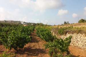 Rural/Agricultural land for sale in Teulada, Alicante. 