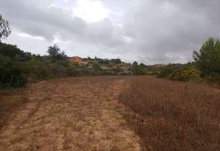 Terreni agricoli vendita in Benissa, Alicante. 